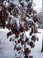 NJ_NY 228
